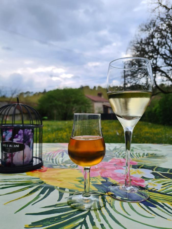 La Perle De Frayssinet-Le-Gelat - Chambre D'Hotes - B&B מראה חיצוני תמונה